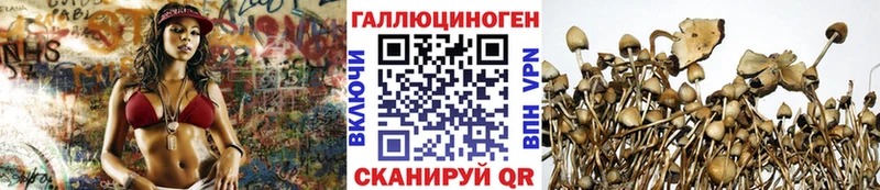 Псилоцибиновые грибы ЛСД  хочу   KRAKEN как войти  Кизляр 