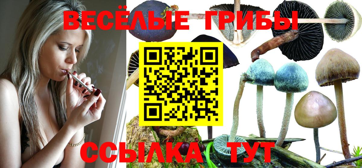 Псилоцибиновые грибы ЛСД Кизляр