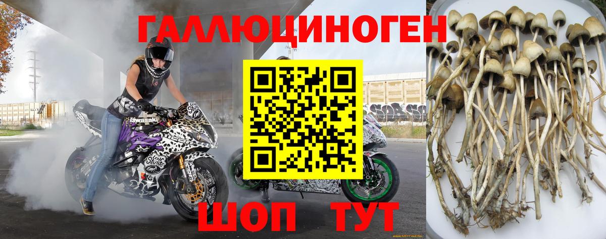 Мефедрон кристаллы  Cocaine  ГАШ  ГАШИШ  Кизляр  КОКАИН  Вход с VPN  Наркошоп 