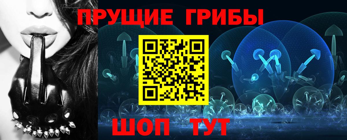 где купить   Вход с VPN  Кизляр  Псилоцибиновые грибы ЛСД 